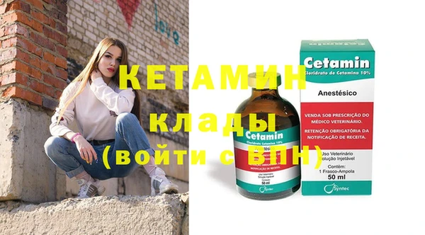 шишки Аркадак