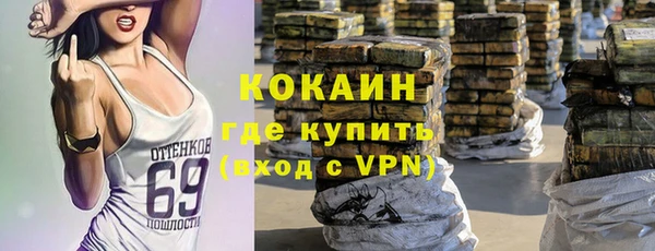 ПСИЛОЦИБИНОВЫЕ ГРИБЫ Алзамай