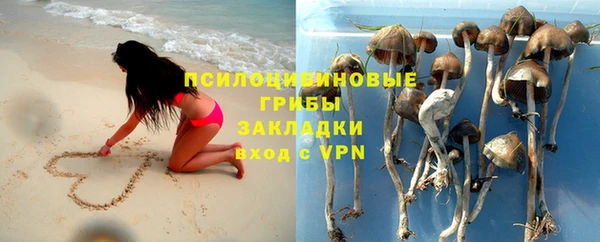 ПСИЛОЦИБИНОВЫЕ ГРИБЫ Алзамай