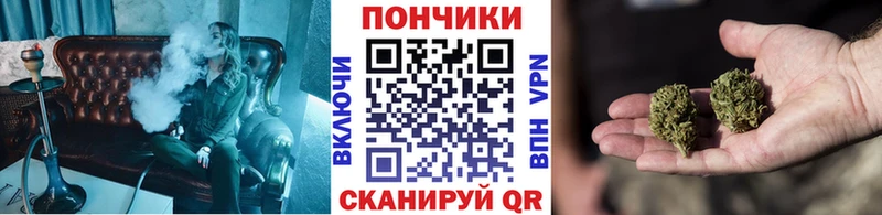купить наркотик  Зуевка  сайты даркнета клад  МАРИХУАНА планчик 